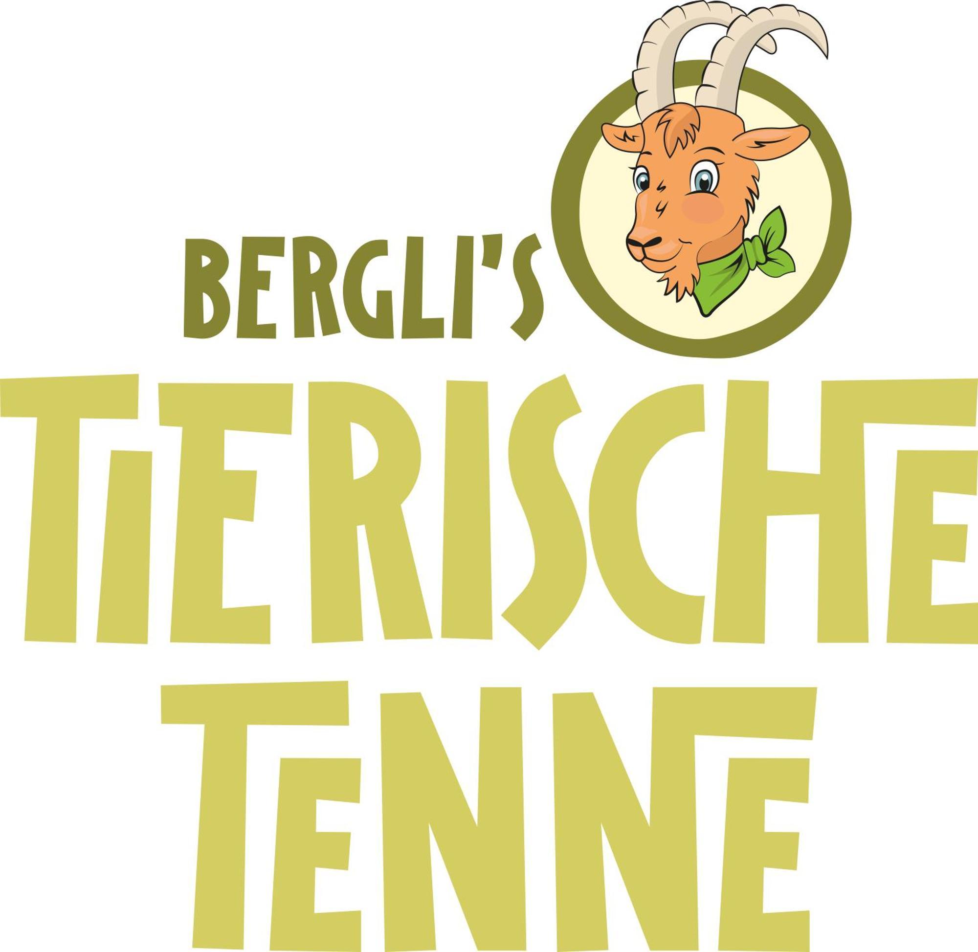 Berghof Gmbh Hotel
